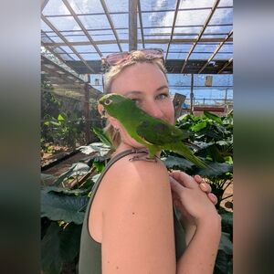 Meet your Posher, Kayla